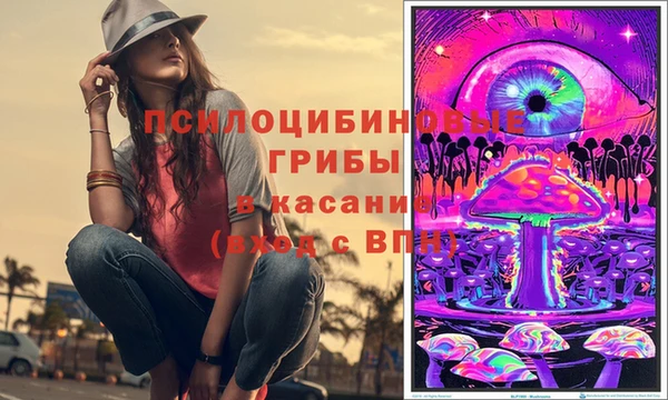 марки lsd Богородицк