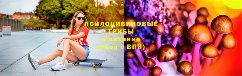 Псилоцибиновые грибы GOLDEN TEACHER  Енисейск 